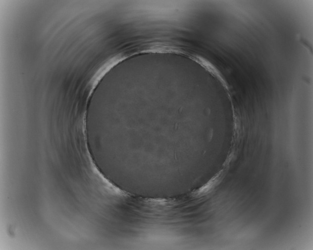 X0000100350855200806061112