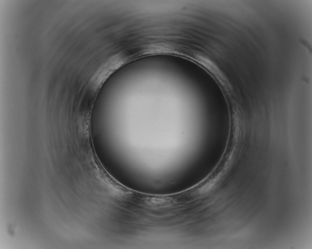 X0000100350857200806061112