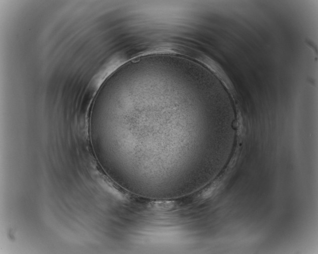 X0000100350858200806061112