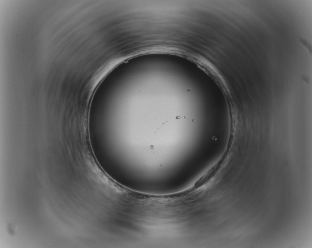 X0000100350860200806061113