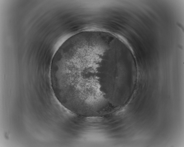X0000100350863200806061113