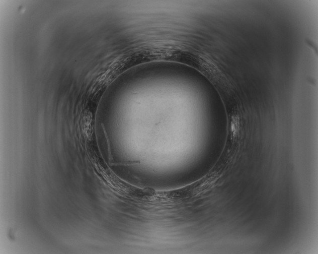 X0000100350867200806061112