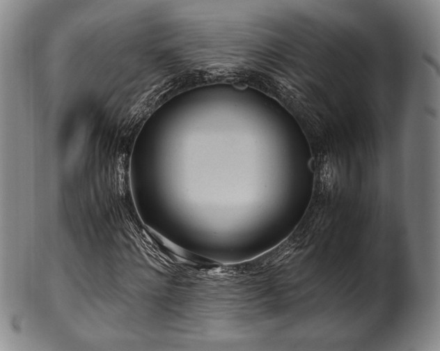 X0000100350868200806061112