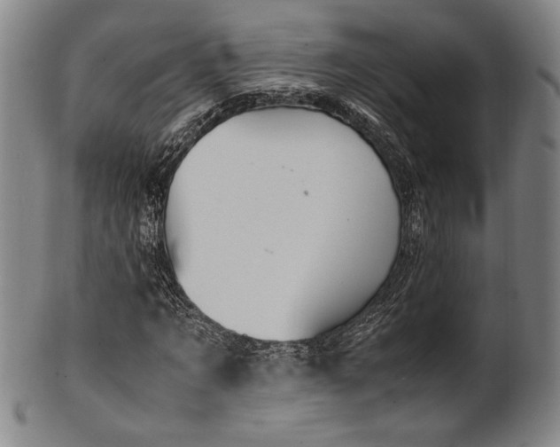 X0000100350869200806061112