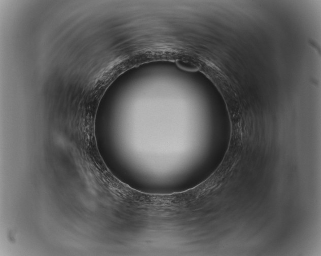 X0000100350870200806061112