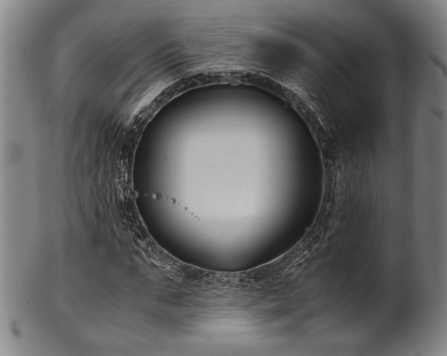 X0000100350871200806061112