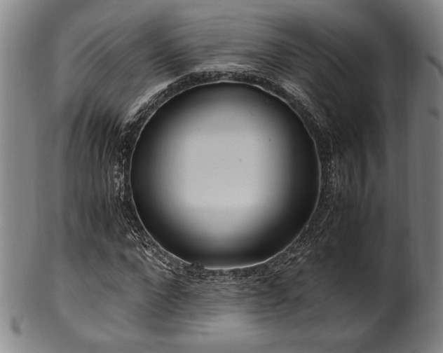 X0000100350872200806061112