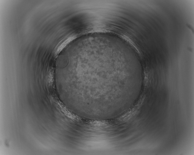 X0000100350874200806061112
