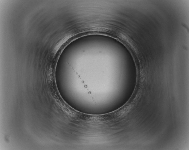 X0000100350875200806061112
