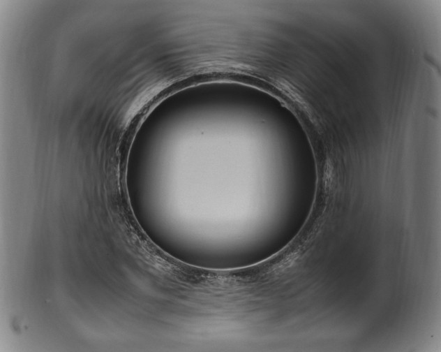 X0000100350877200806061112