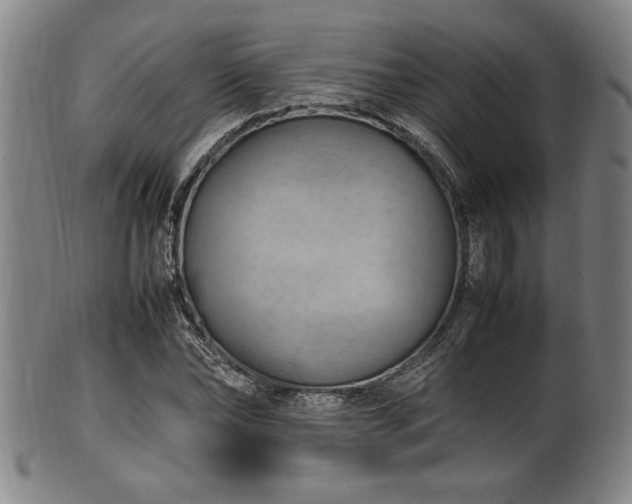 X0000100350878200806061112