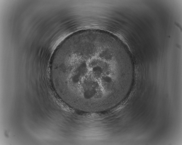 X0000100350879200806061112