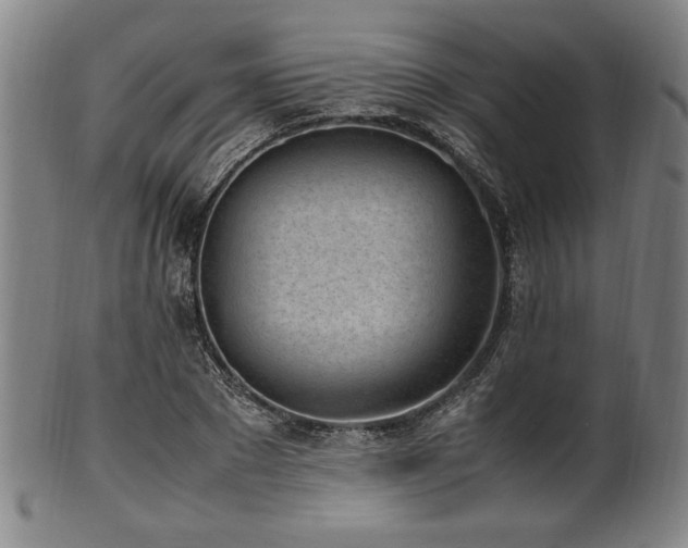 X0000100350881200806061112