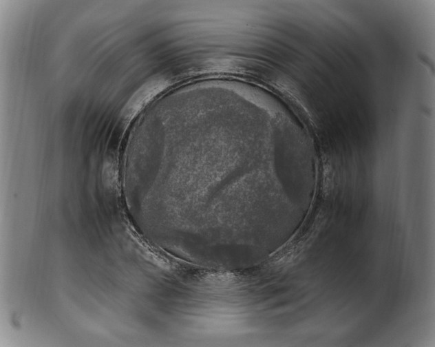 X0000100350882200806061112