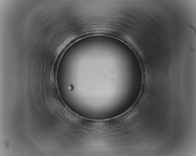 X0000100350883200806061112
