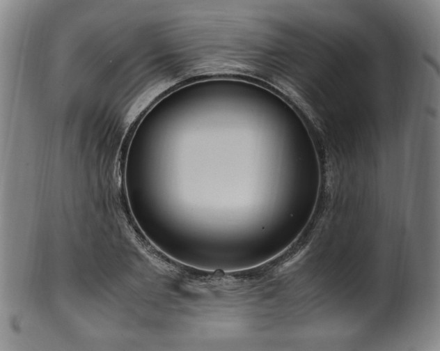 X0000100350885200806061112