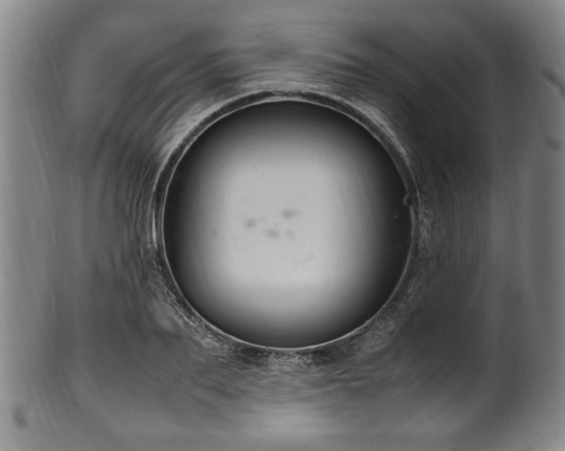X0000100350887200806061112