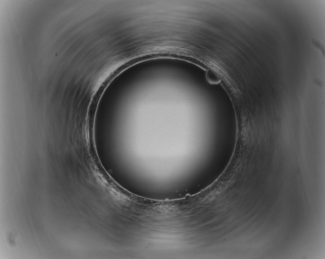 X0000100350888200806061111