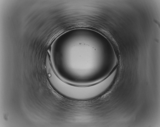 X0000100350889200806061111