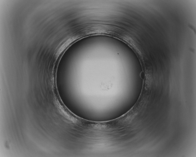 X0000100350890200806061111