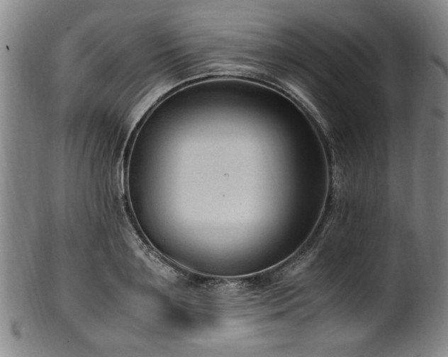 X0000100350891200806061111