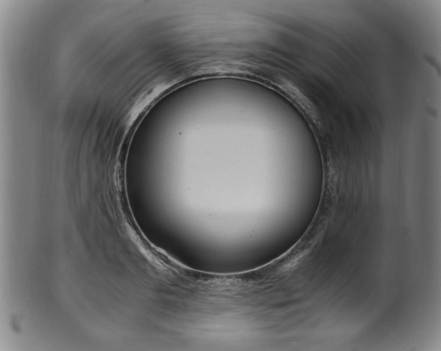 X0000100350893200806061111