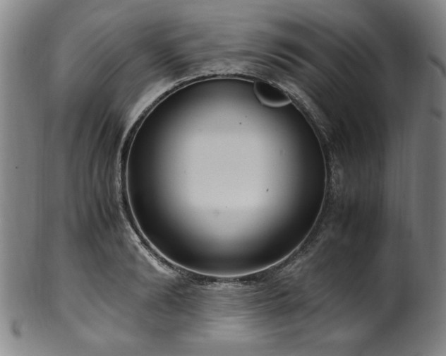 X0000100350894200806061111