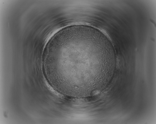 X0000100350895200806061111