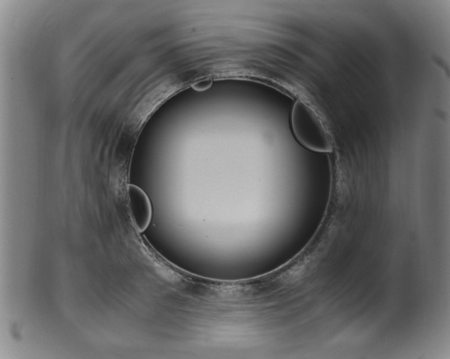X0000100350897200806061111