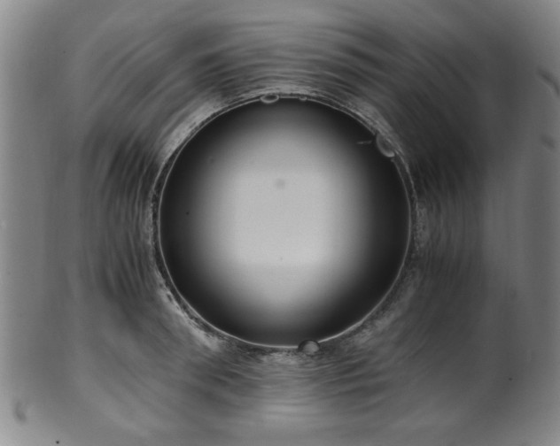 X0000100350898200806061111