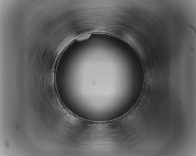 X0000100350900200806061111