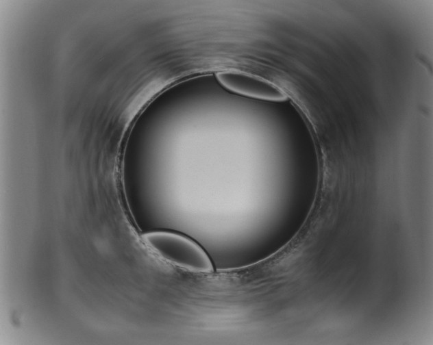 X0000100350901200806061111