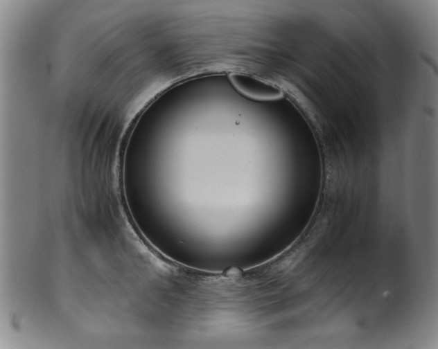 X0000100350902200806061111