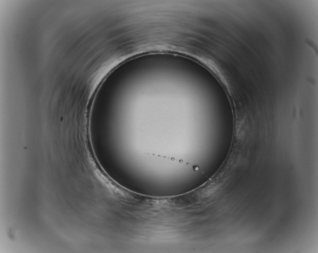 X0000100350903200806061111