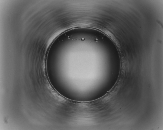 X0000100350904200806061111