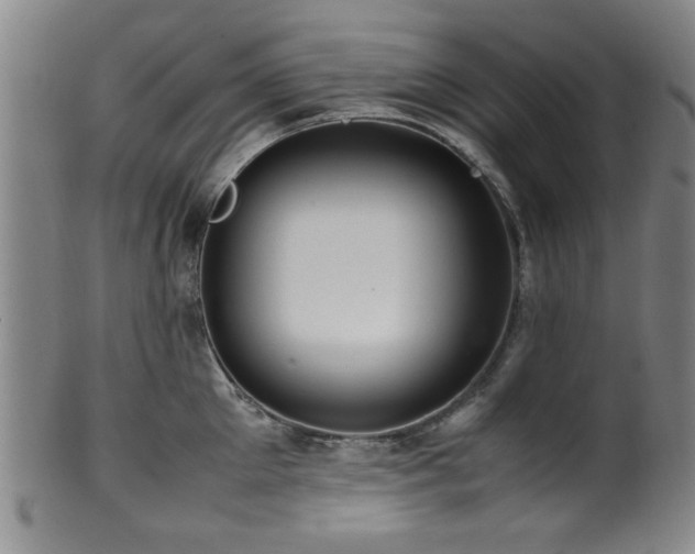 X0000100350905200806061111
