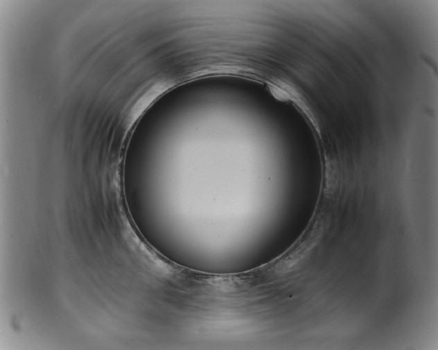 X0000100350906200806061111