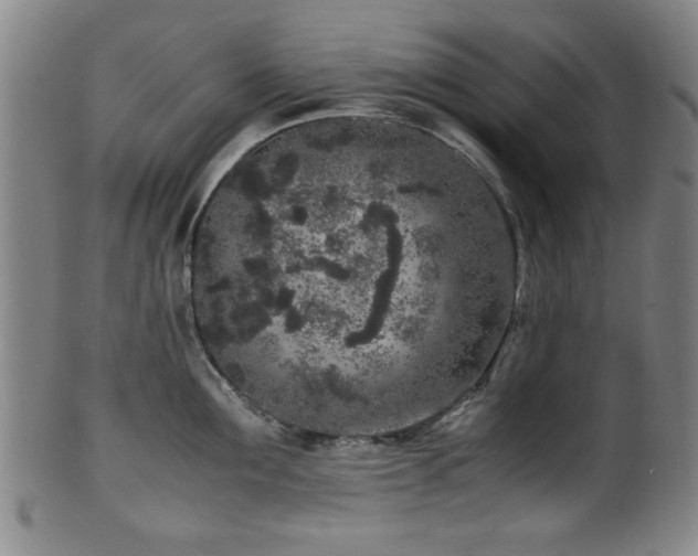 X0000100350907200806061111