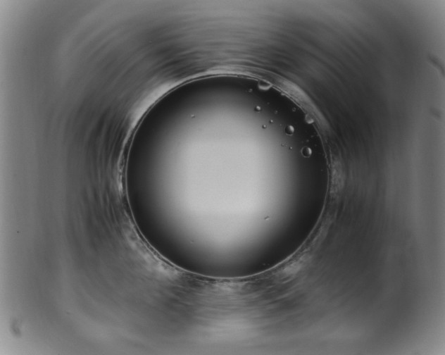 X0000100350908200806061111
