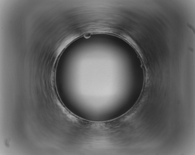 X0000100350909200806061111