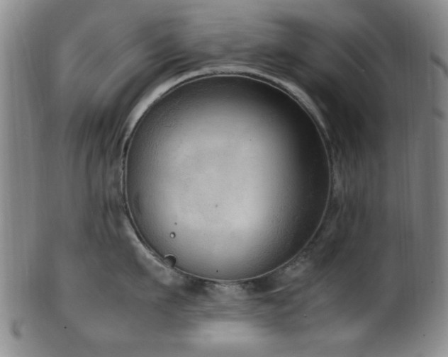 X0000100350911200806061111