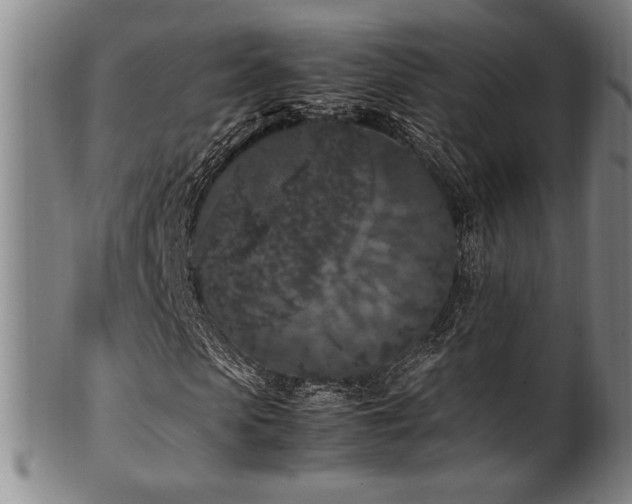 X0000100350913200806061110