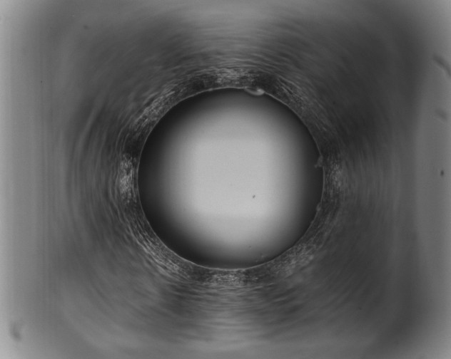 X0000100350914200806061110