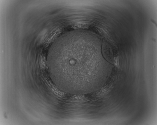 X0000100350915200806061110