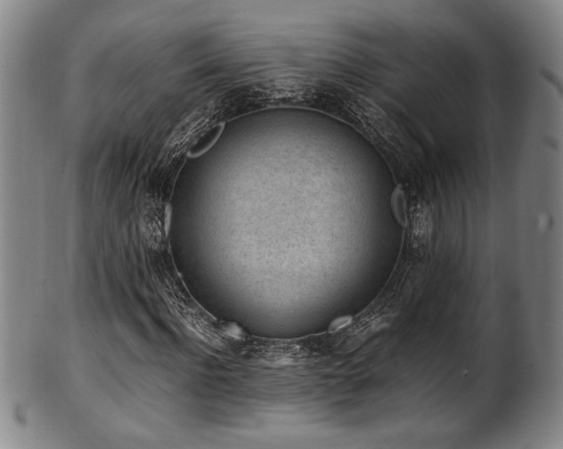 X0000100350916200806061110