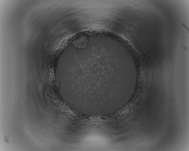 X0000100350918200806061111