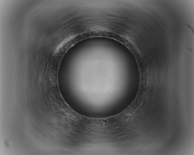 X0000100350919200806061111