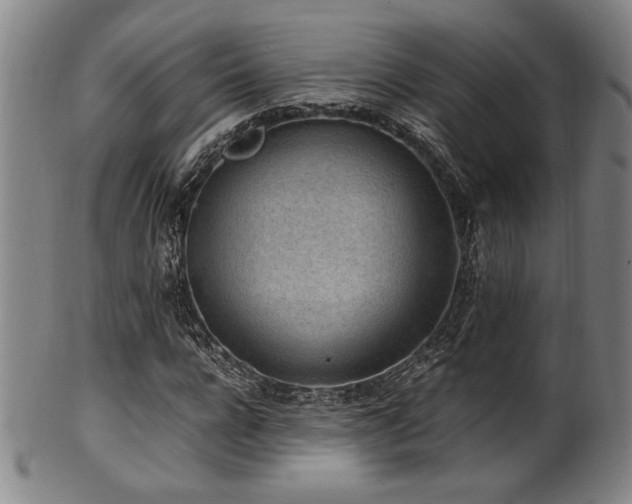 X0000100350920200806061111