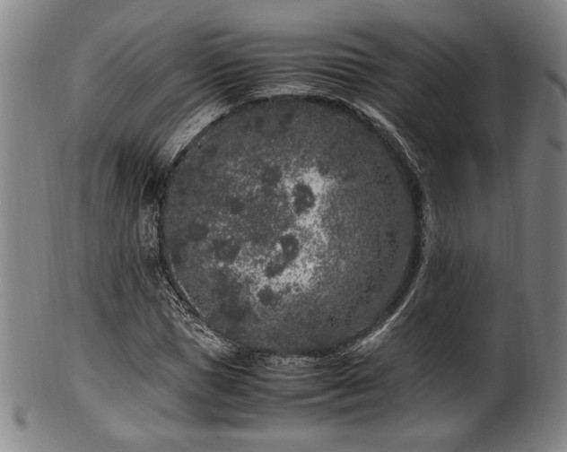 X0000100350921200806061111