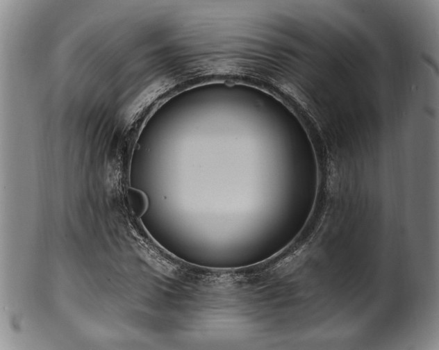 X0000100350922200806061111